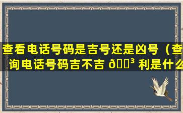 查看电话号码是吉号还是凶号（查询电话号码吉不吉 🐳 利是什么软件）